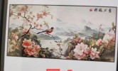 求图求助,悬赏求助，嘀嘀打图,滴滴打图