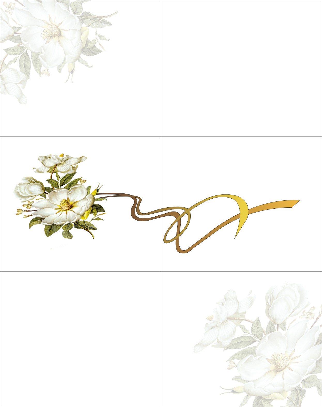 白色菊花 精雕UV打印 白色，菊花，茶花，飘带，白花，月季花，牡丹