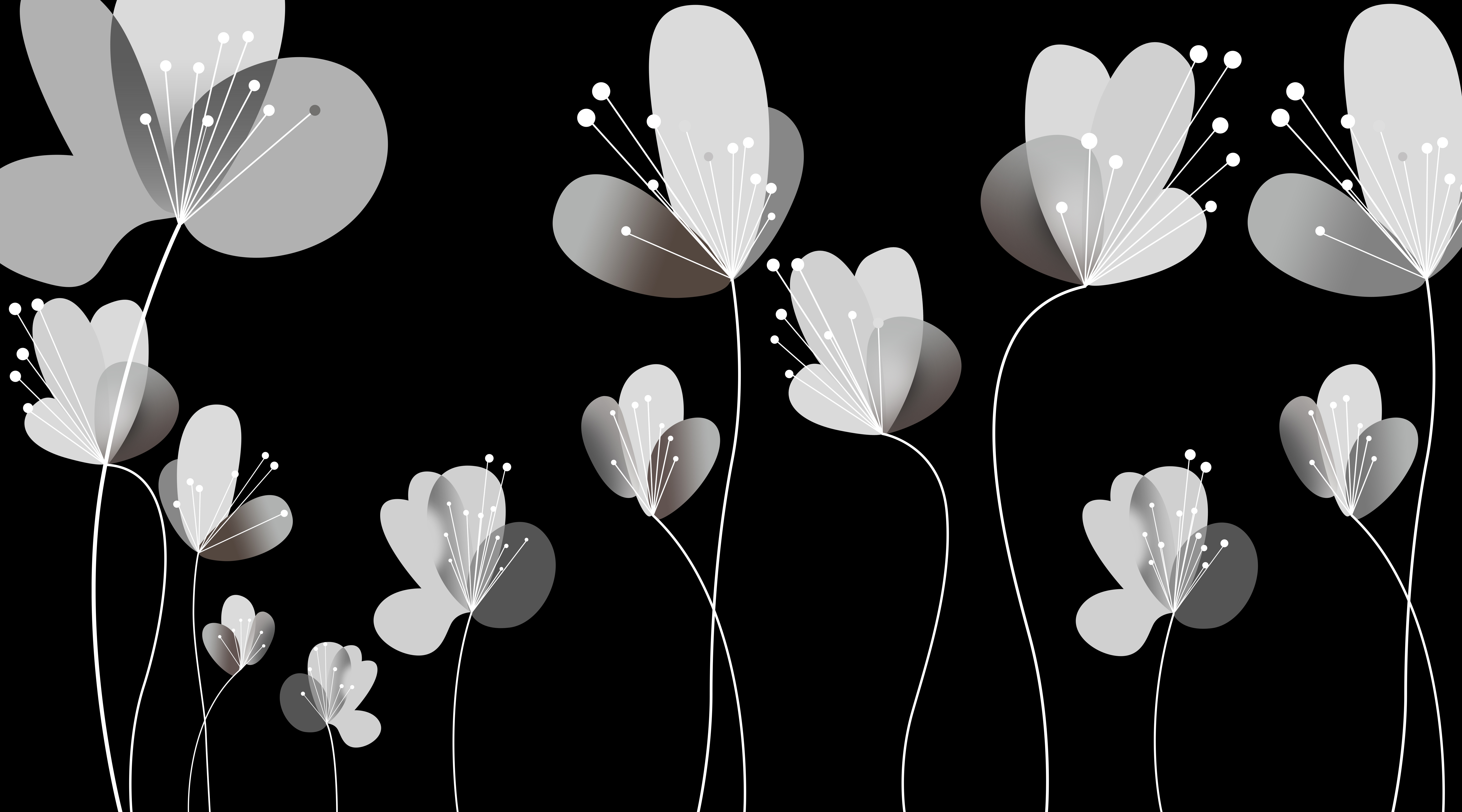 黑白抽象透明花朵 腰线 腰花  黑白 抽象 花朵 花卉 花瓣 叶子 透明 耐刮板,肤感打印,艺术玻璃,UV打印,高光系列 黑白抽象透明花朵 腰线 腰花  黑白 抽象 花朵 花卉 花瓣 叶子 透明