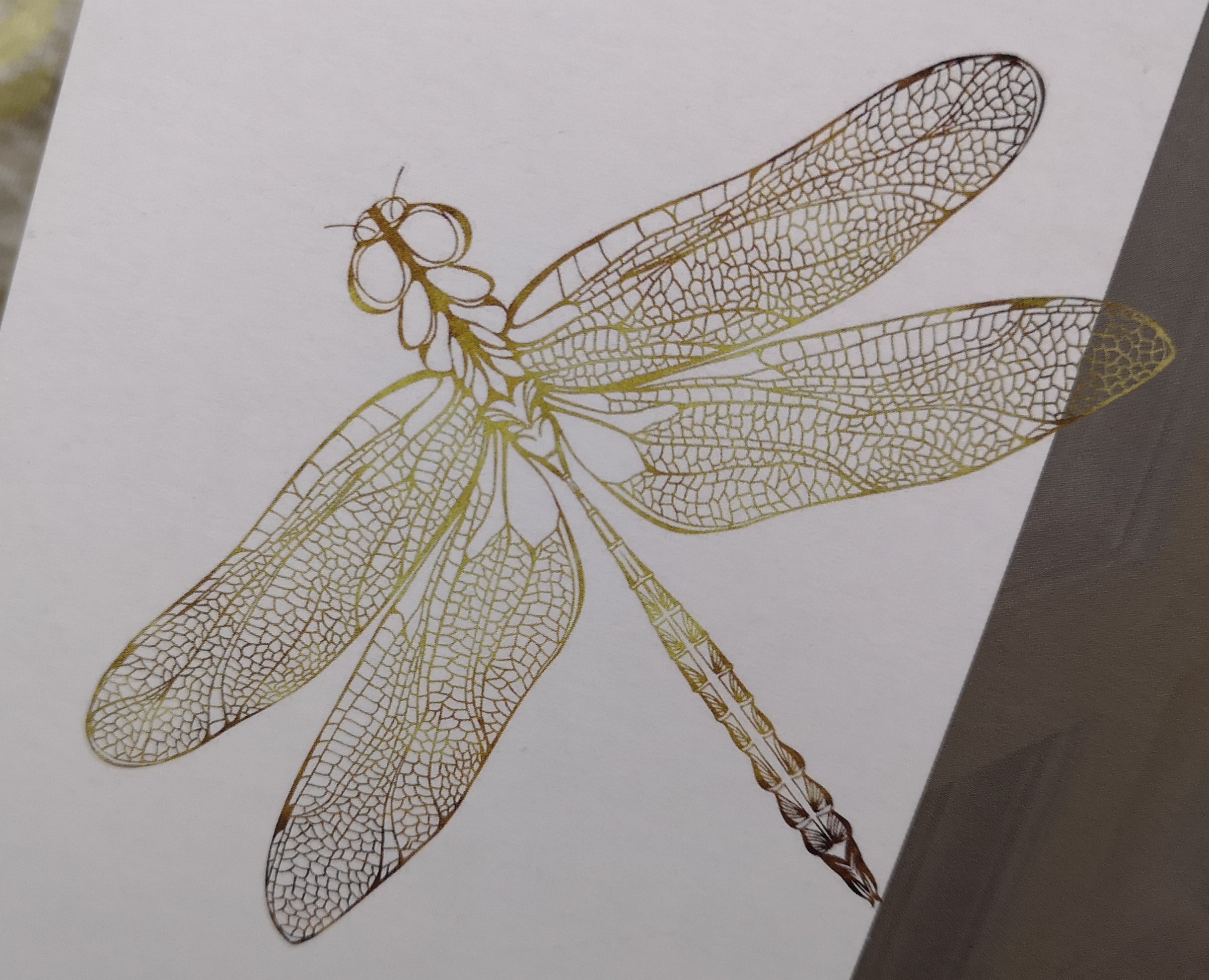 打印图 路径图, 2440*1220mm,注意蜻蜓翅膀和身子上每个线条上的颜色